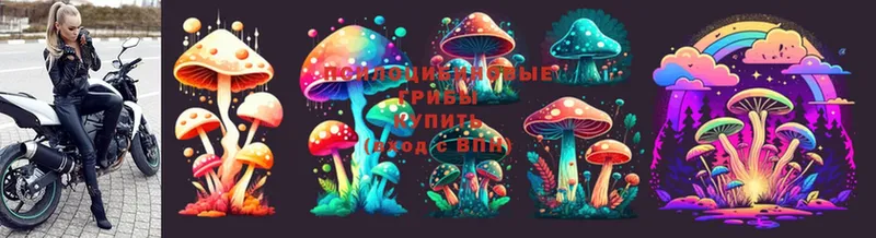 Галлюциногенные грибы MAGIC MUSHROOMS  хочу   Сим 